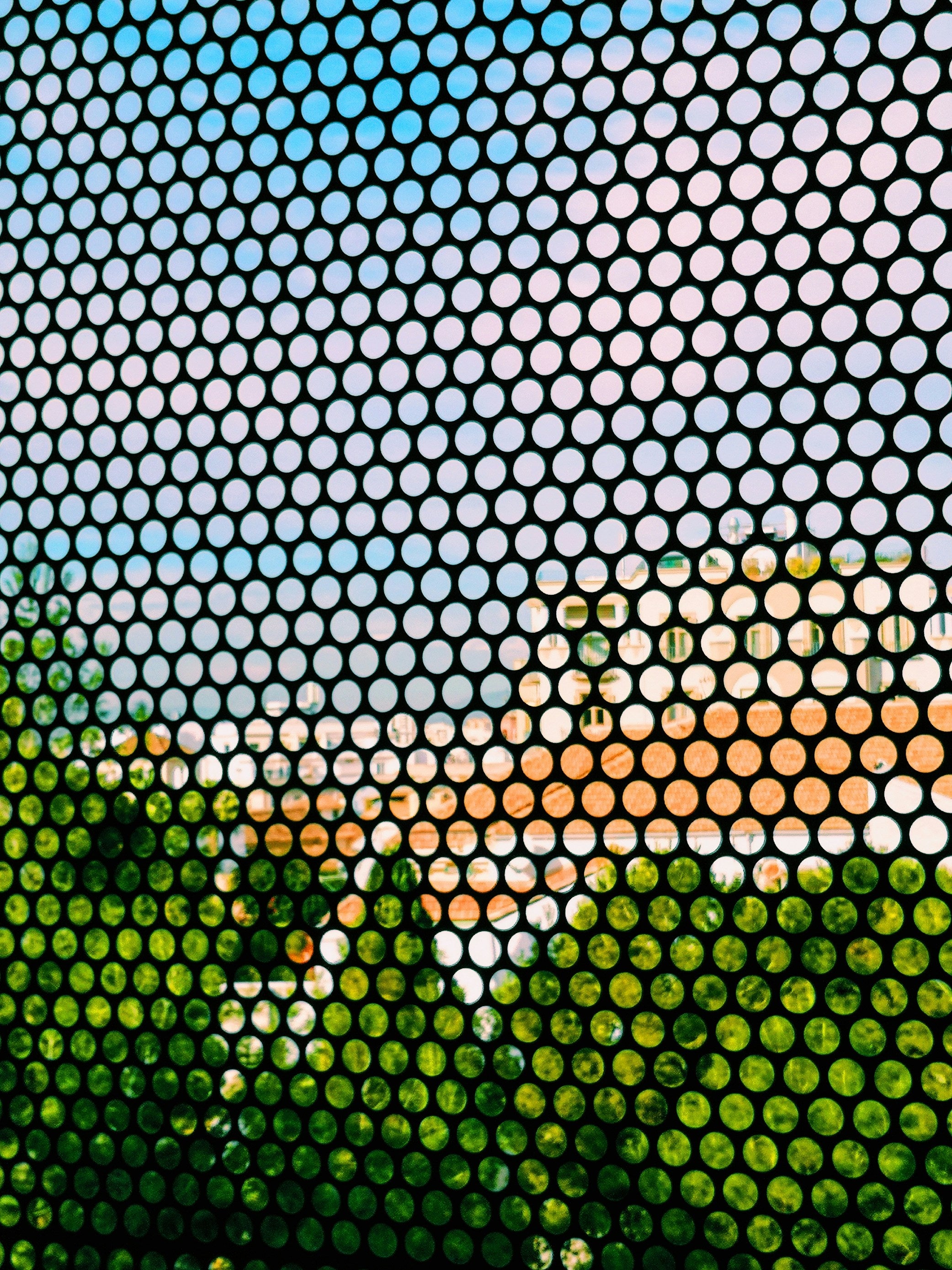 Custom Perforated Window Vinyl | Full Color HD Print